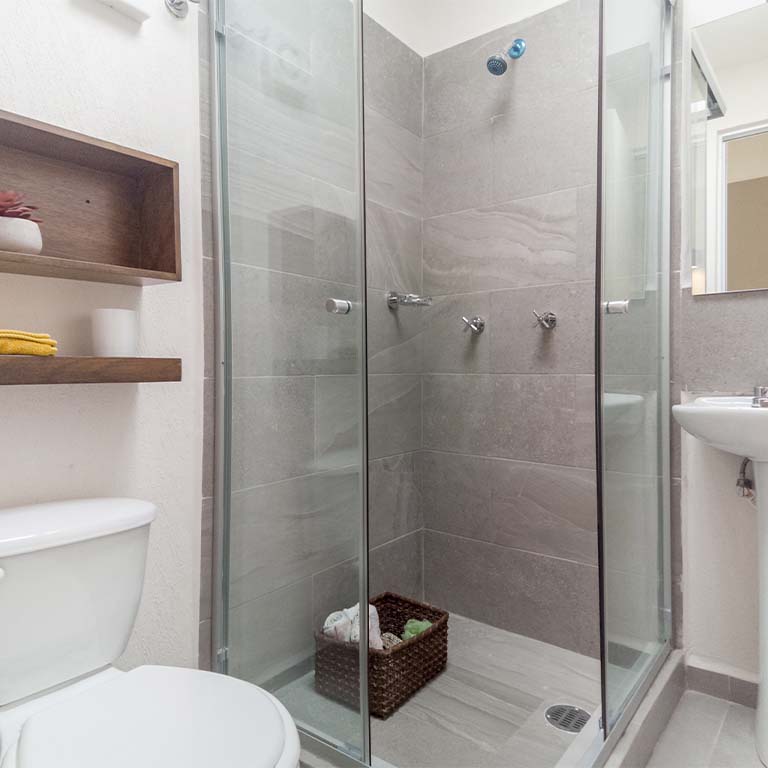 Olivo Baño La Florida II